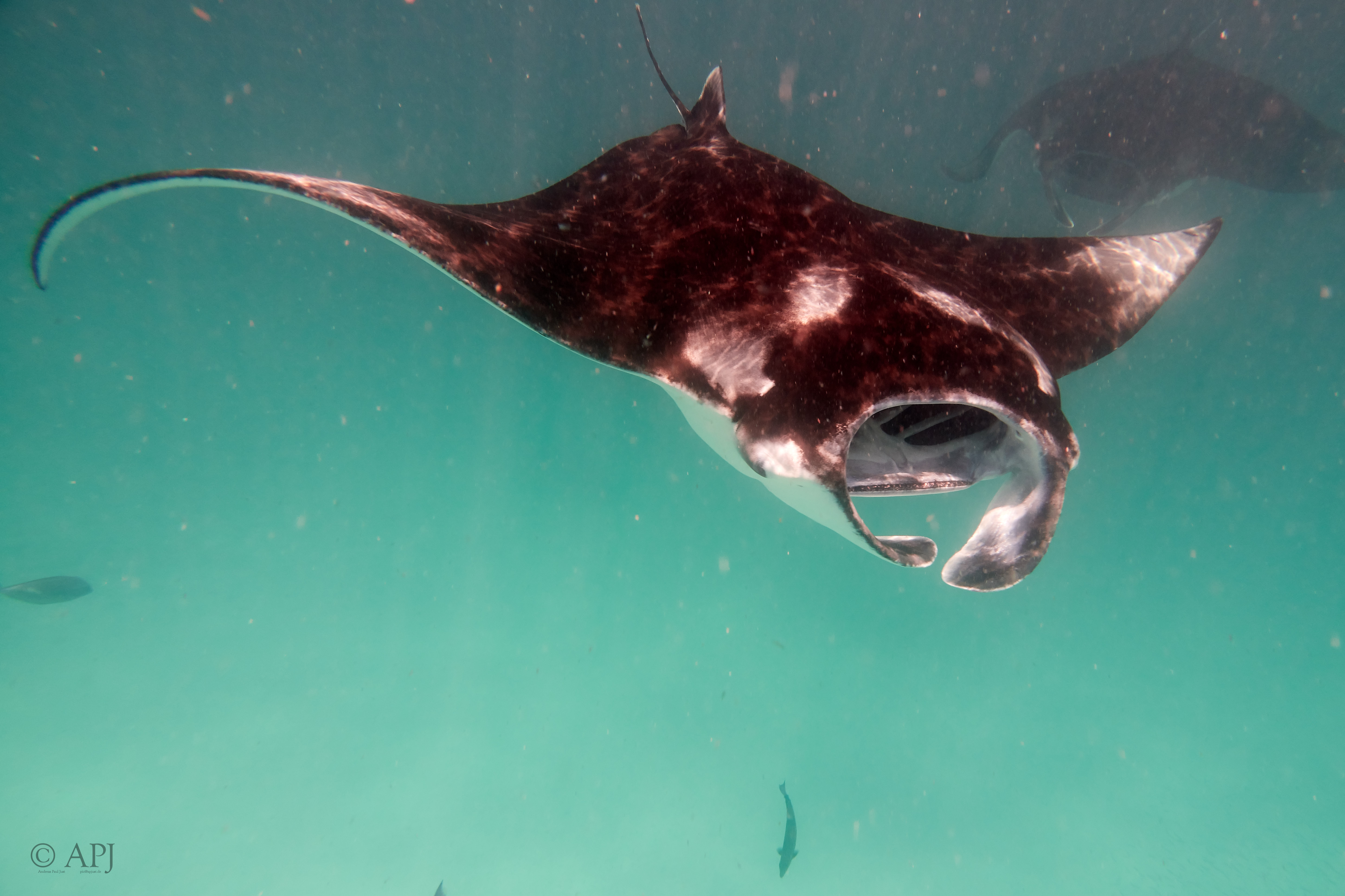 001916 16 08 17  Canon PowerShot G7 X Mark II   Malediven2017